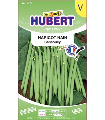 Haricot Nain Sansoucy