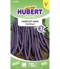 Haricot Amethyst Nain