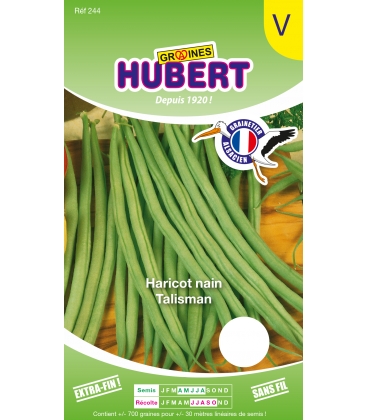 Haricot Talisman Nain EXTRA-FIN