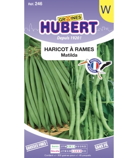 Haricot Matilda Ramant