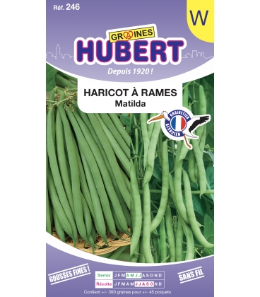 Haricot Matilda Ramant