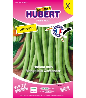 Haricot Nain Contender 350g +10% OFFERTS