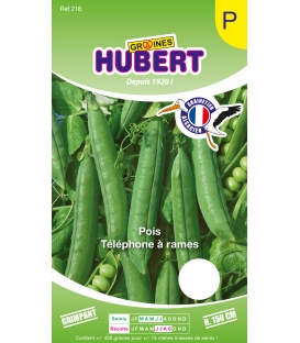 Pois Téléphone à Rames