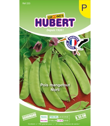 Pois Norli Mangetout