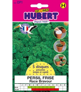 Disques Pr&eacute;sem&eacute;s Persil Fris&eacute; - Vari&eacute;t&eacute; Bravour &copy; Images prot&eacute;g&eacute;es t&eacute;l&eacute;chargement interdit !