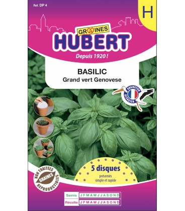 5 Disques pr&eacute;sem&eacute;s de Basilic Grand vert Genovese