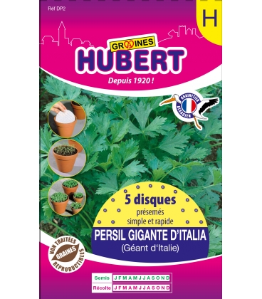 5 Disques pr&eacute;sem&eacute;s de Persil G&eacute;ant d'Italie