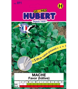 Ruban pr&eacute;sem&eacute; de M&acirc;che Favor