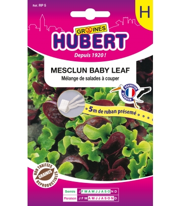Mesclun Baby-Leaf - 5 m de Ruban Pr&eacute;sem&eacute;