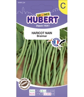Haricot Nain Braimar 50 Graines