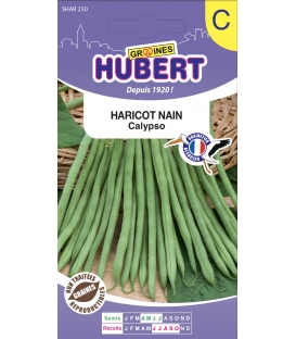 Haricot Calypso Mangetout Nain 50 Graines