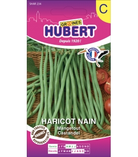 Haricot Castandel 50 Graines