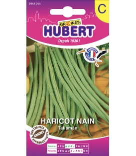 Haricot Nain Talisman - 50 Graines