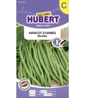 Haricot Matilda Ramant - 35 Graines