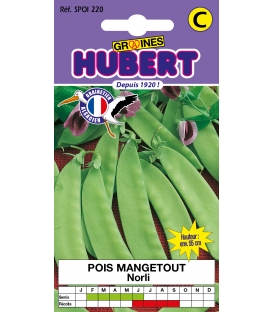 Pois Mangetout Norli 50 Graines