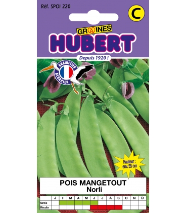 Pois Mangetout Norli 50 Graines