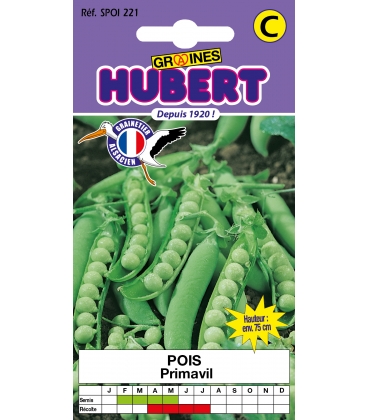 Pois Primavil - 50 Graines
