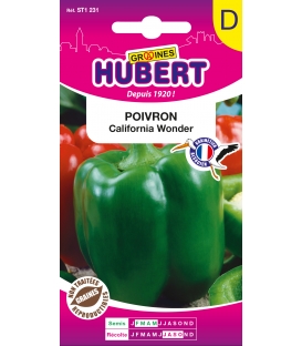 Poivron California Wonder