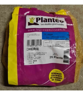 Clayette de 25 plants de Pommes de Terre Cherie