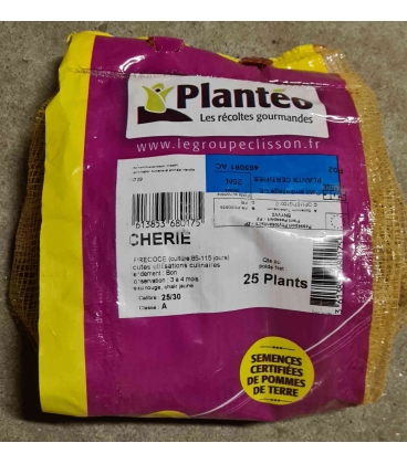 Ch&eacute;rie Pochette de 25 plants de Pommes de Terre 25/30