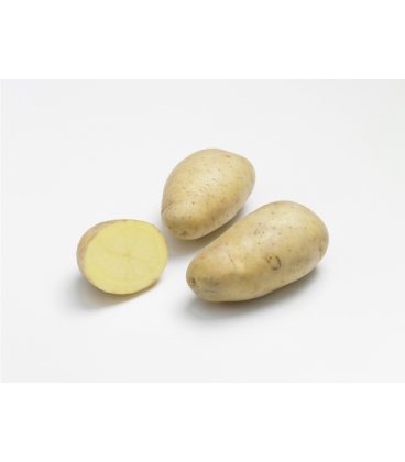 Monalisa - Pochette de 25 plants de Pommes de Terre Monalisa