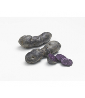 Vitelotte Noire - Pochette de 25 plants de Pommes de Terre 