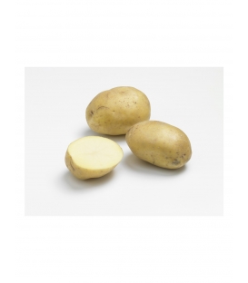 Anaïs - Pochette de 25 plants de Pommes de Terre