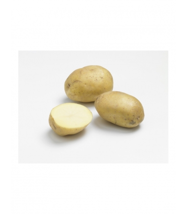 Ana&iuml;s - Pochette de 25 plants de Pommes de Terre