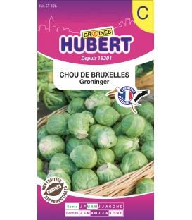 Chou de Bruxelles Groninger