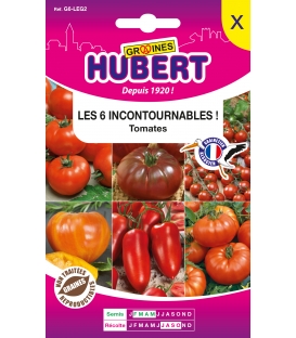 Tomates Incontournables - 6 Vari&eacute;t&eacute;s