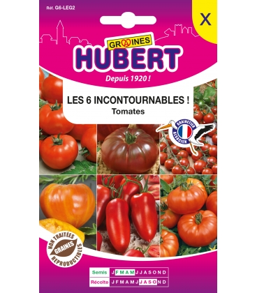 Tomates Incontournables - 6 Vari&eacute;t&eacute;s