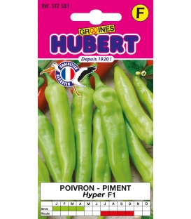 Poivron Hyper F1 &copy;Images prot&eacute;g&eacute;es t&eacute;l&eacute;chargement interdit !