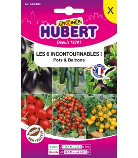 Les 6 Incontournables Pour Pots & Balcons