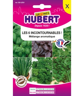 Les 6 Incontournables Aromatiques