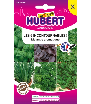 Les 6 Incontournables Aromatiques