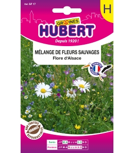 Mélange de Fleurs Sauvages "Flore d'Alsace"