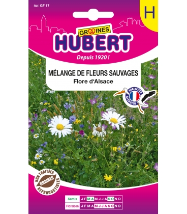 M&eacute;lange de Fleurs Sauvages "Flore d'Alsace"