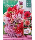 Dahlias LABYRINTH