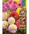 5 Tubercules de Dahlias Décoratifs Variés - 100 cm