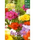 10 Freesias Doubles Variés