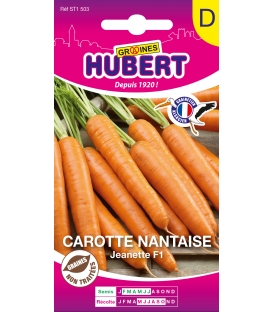 Carotte Nantaise Jeanette F1 &copy; Images prot&eacute;g&eacute;es, t&eacute;t&eacute;chargement interdit !