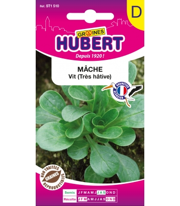 M&acirc;che Vit
