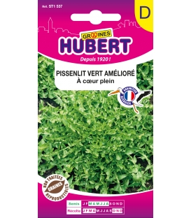 Pissenlit Vert Amelior&eacute; &agrave; Coeur Plein &copy;Images prot&eacute;g&eacute;es t&eacute;l&eacute;chargement interdit !