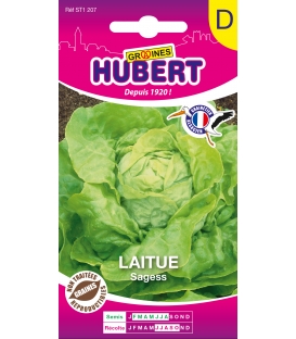 Graines de Laitue Pomm&eacute;e Sagess 