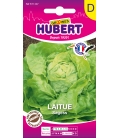 Graines de Laitue Pommée Sagess 