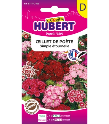 Oeillet de Po&egrave;te Simple Etournelle Vari&eacute;