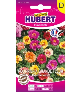 Pourpier à Grande Fleur Double Varié