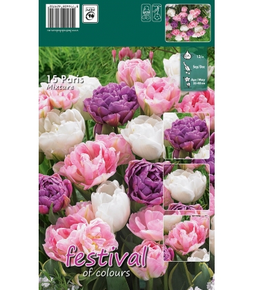 M&eacute;lange Paris - 15 bulbes de Tulipes Doubles en M&eacute;lange