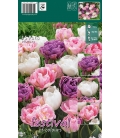 Mélange Paris - 15 bulbes de Tulipes Doubles en Mélange