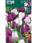 15 Bulbes de Tulipes "Exciting"